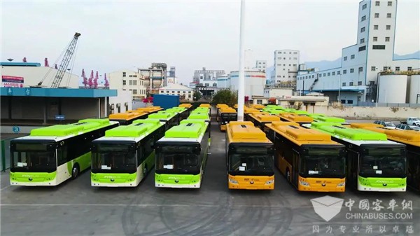 喜迎“十四五” 55輛宇通E12出口丹麥 市占率超60%！