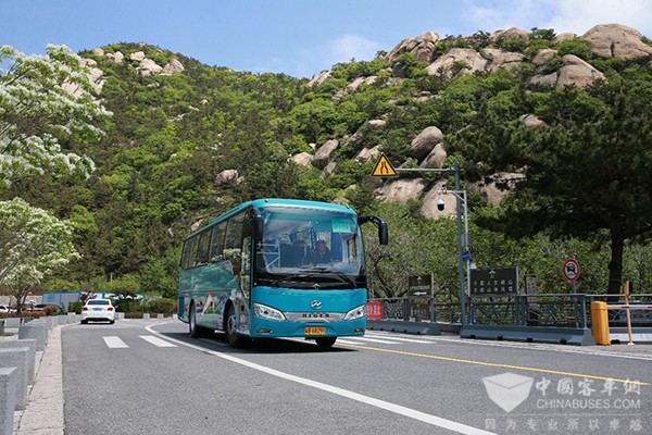 蘇州金龍 海格客車青島嶗山 中國旅行社總社