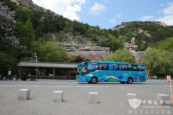 蘇州金龍 海格客車青島嶗山 中國旅行社總社