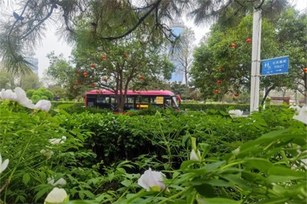 洛陽牡丹文化節(jié) 格力鈦攜這些車型帶你賞花