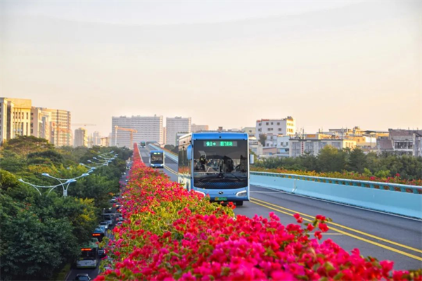 五一來廈怎么玩？來看金龍公交車新玩法花式霸屏！